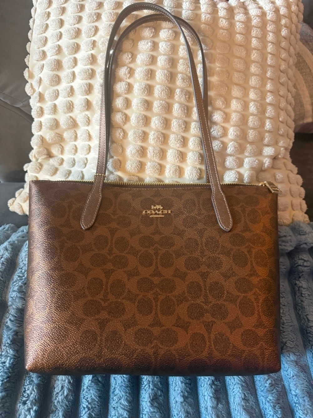 Coach Fiona Zip Tote Bag in Signature Canvas